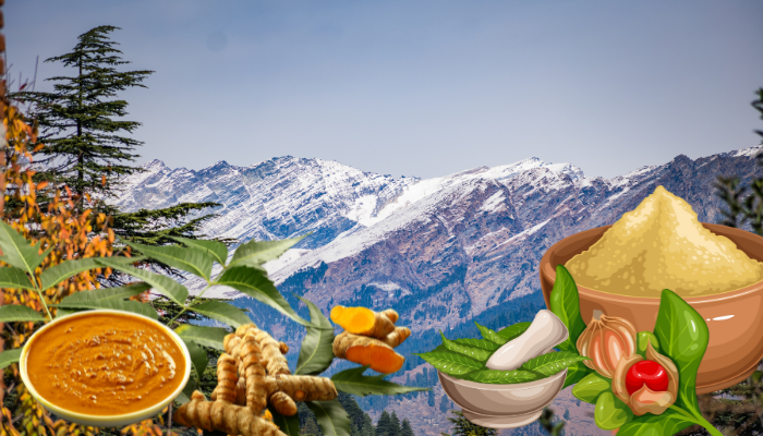 Himalayan Ayurveda